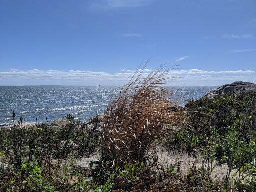 Nature Preserve «Meigs Point Nature Center», reviews and photos, 1288 Boston Post Rd, Madison, CT 06443, USA