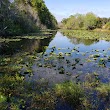 Felts Audubon Preserve