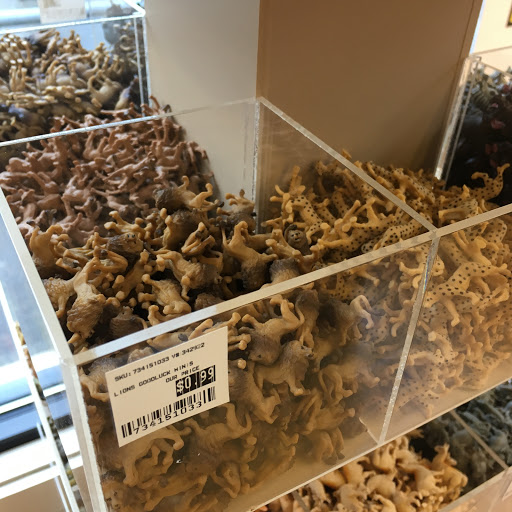 Art Supply Store «Blick Art Materials», reviews and photos, 1115 NW Glisan St, Portland, OR 97209, USA