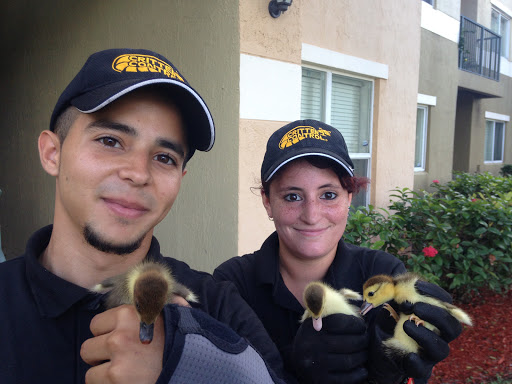 Pest Control Service «Critter Control of Miami», reviews and photos