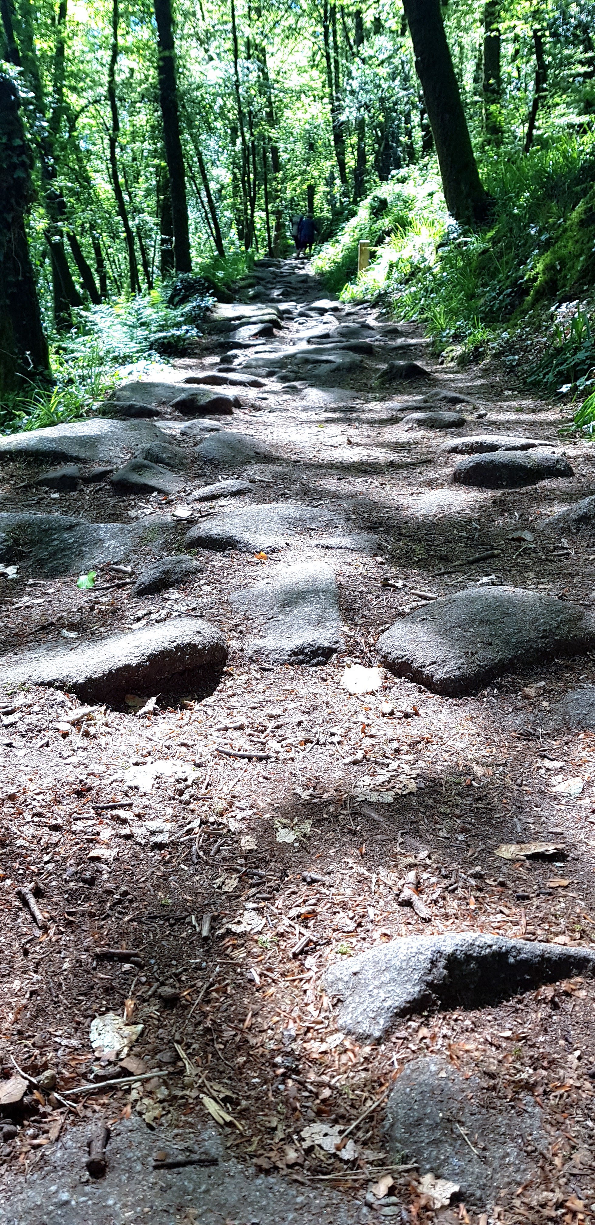 Photo n° 2 de l'avis de Doude.i fait le 12/08/2020 à 12:34
