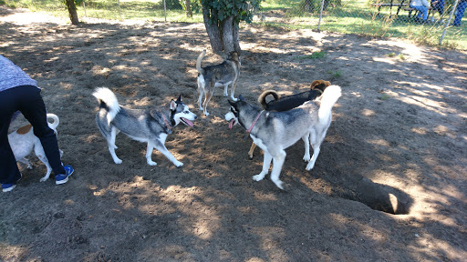 Dog Park «Bunker Hills Dog Park», reviews and photos, 1620 133rd Ave NW, Coon Rapids, MN 55448, USA