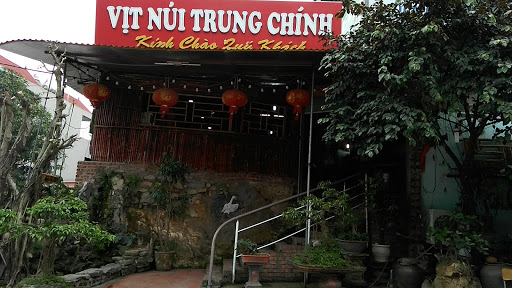 Vịt Núi Trung Chính