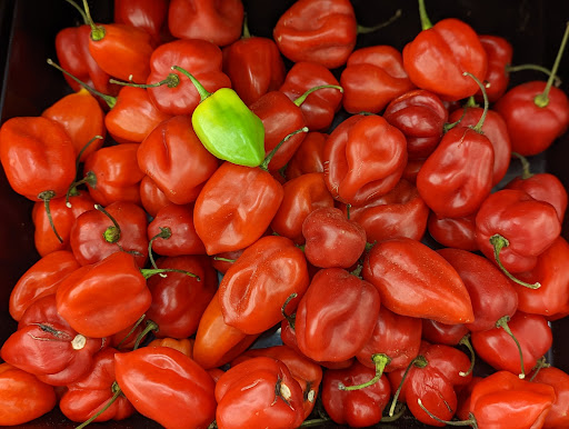 Grocery Store «Food Lion», reviews and photos, 5021 Trotwood Ave Ste 7, Columbia, TN 38401, USA