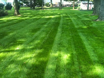 Baker Bros Landscaping - Photo 2 - Car repair in , Staten Island