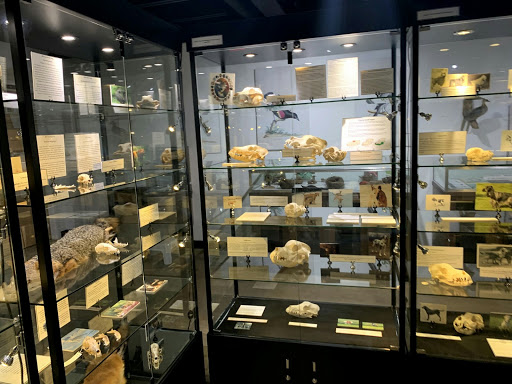 Georgia Museum of Natural History