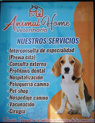 Veterinaria "Animal Home"