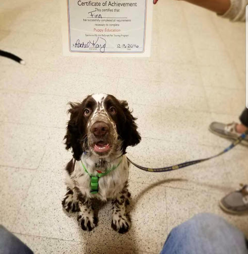 Pet Supply Store «PetSmart», reviews and photos, 19 Clifton Country Rd, Clifton Park, NY 12065, USA