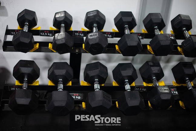 http://www.pesastore.cl/