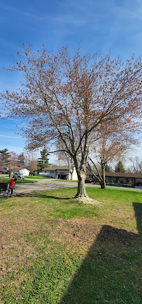 Double D & Son Tree Experts, LLC - Photo 5 - Car repair in , Springfield