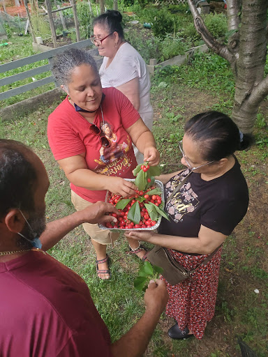 Las Casitas Community Garden image 7