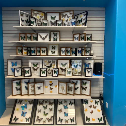 Mailing Service «The Mailing Store», reviews and photos, 4121 N 10th St, McAllen, TX 78504, USA