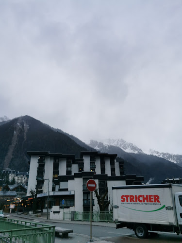 Agence Immobilière Des Neiges à Chamonix-Mont-Blanc