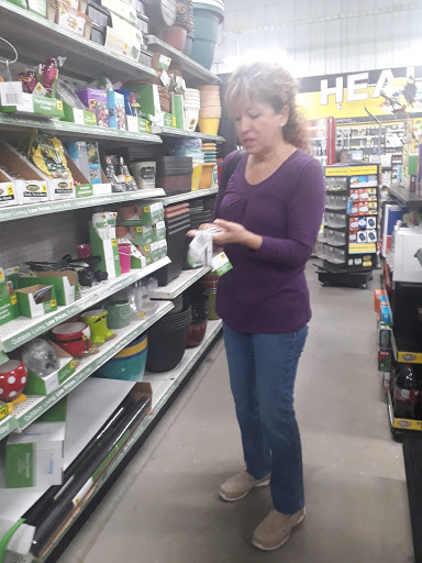 Home Goods Store «Dollar General», reviews and photos, 3708 New Mathis Rd, Elmendorf, TX 78112, USA