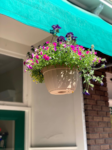 Florist «Flowers By Snellings», reviews and photos, 23 N Braddock St, Winchester, VA 22601, USA