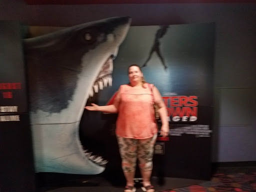 Movie Theater «AMC Showplace Machesney Park 14», reviews and photos, 1860 Anjali Way, Machesney Park, IL 61115, USA