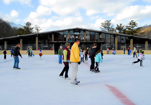 North Park Ice Rink