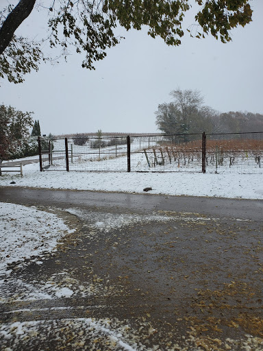 Winery «Chankaska Creek Ranch & Winery», reviews and photos, 1179 E Pearl St, Kasota, MN 56050, USA