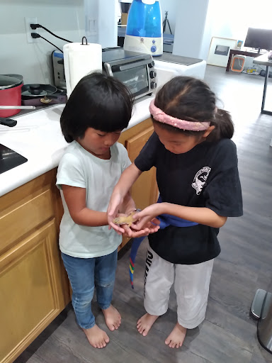 Pet Supply Store «PetSmart», reviews and photos, 12483 Limonite Ave, Mira Loma, CA 91752, USA