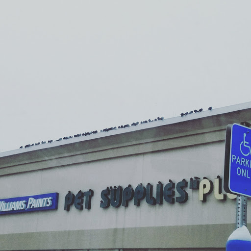 Pet Supply Store «Pet Supplies Plus», reviews and photos, 630 Fellsway, Medford, MA 02155, USA