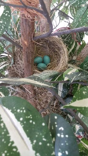 Nature Preserve «Princess Ledges Nature Preserve», reviews and photos, 4361 Spruce Ave, Brunswick, OH 44212, USA