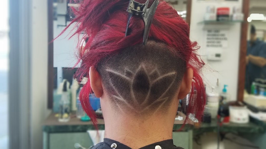 Avi's Barber Shop 11758