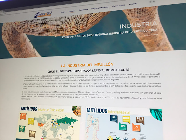 Comunico - Agencia Digital y Diseño Puerto Montt - Diseñador de sitios Web