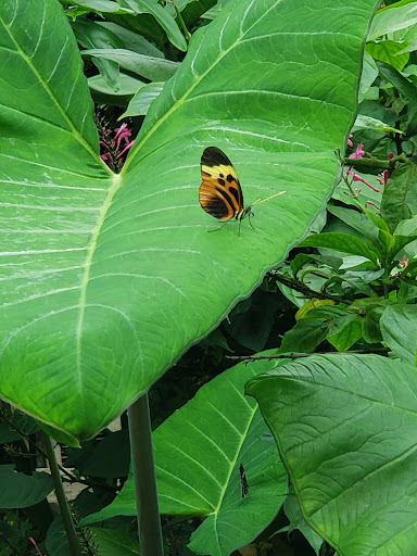 Science Museum «Museum of Life and Science», reviews and photos, 433 W Murray Ave, Durham, NC 27704, USA