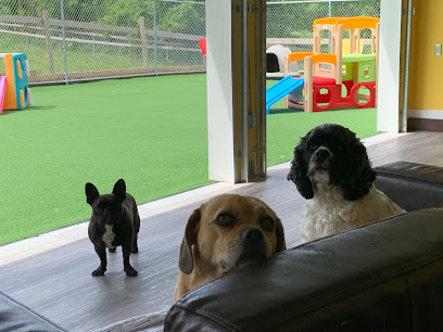 Adele's Doggie Daycare Countryside
