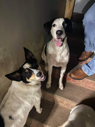 Thrift Store «The Salvation Army Family Store & Donation Center», reviews and photos