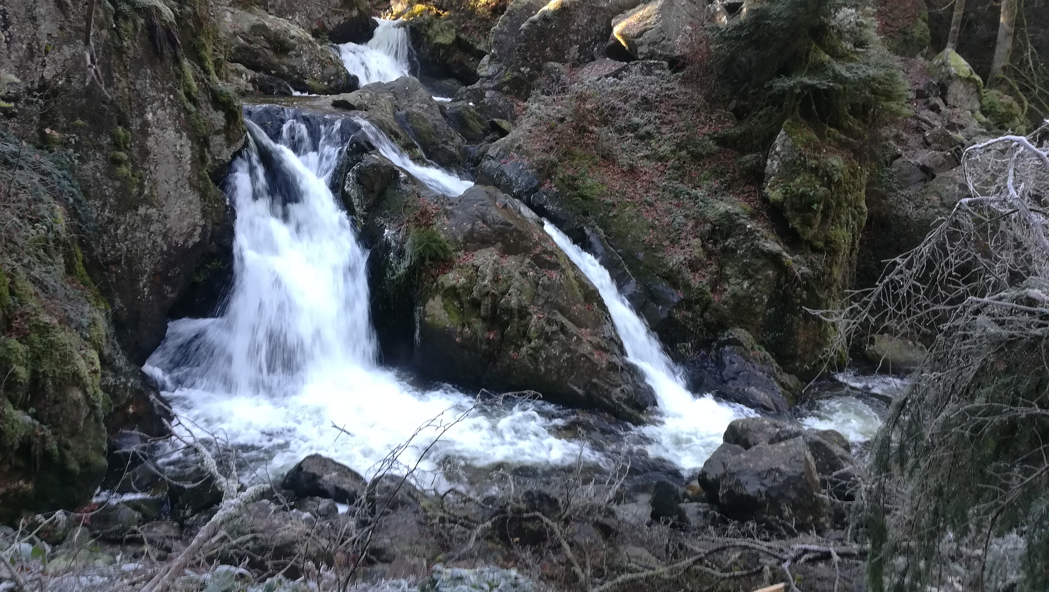 Photo n° 1 de l'avis de Isabelle.e fait le 13/01/2019 à 12:17