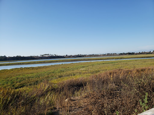 Ecological Reserve of Upper Newport Bay