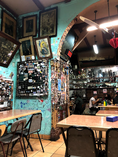 Cafeteria de gatos en Valparaiso