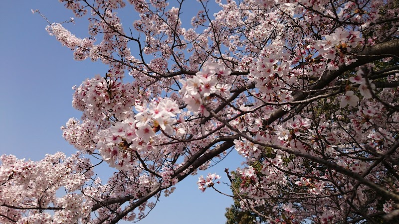 中の原東公園