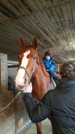 Tierärztliche Praxis für Augenheilkunde unter Ahrensburg, 