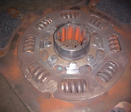 BALATAS DE TAMPICO photo