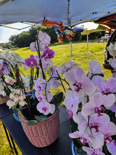 Farm «Sweetwater Organic Community Farm», reviews and photos, 6942 W Comanche Ave, Tampa, FL 33634, USA