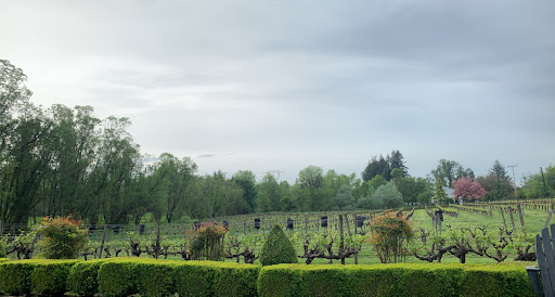 Winery «Bethany Vineyard & Winery», reviews and photos, 4115 NE 259th St, Ridgefield, WA 98642, USA