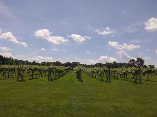 Winery «Wight Vineyards & Winery», reviews and photos, 340 Meyer Dr, Shepherdsville, KY 40165, USA