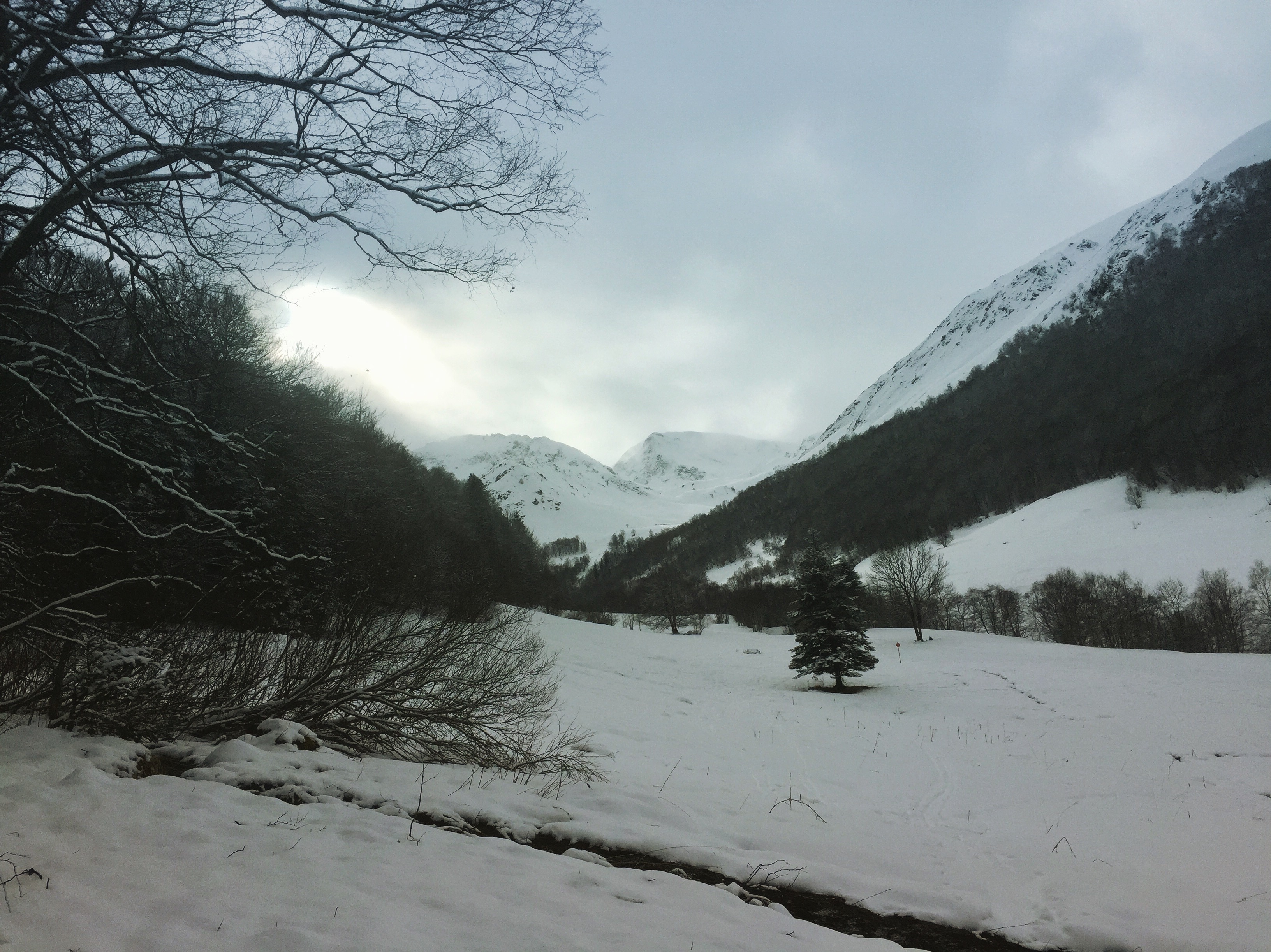 Photo n° 3 de l'avis de François.o fait le 14/01/2018 à 16:28