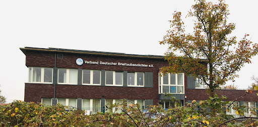 Verband Deutscher Brieftaubenzüchter Taubenklinik unter Essen, Nordrhein-Westfalen