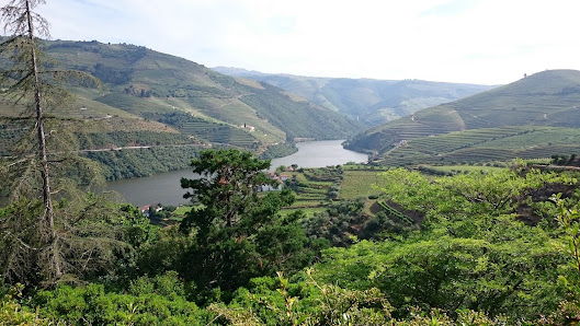 Weinland-Portugal Im Kupfertal 12, 74670 Forchtenberg, Deutschland
