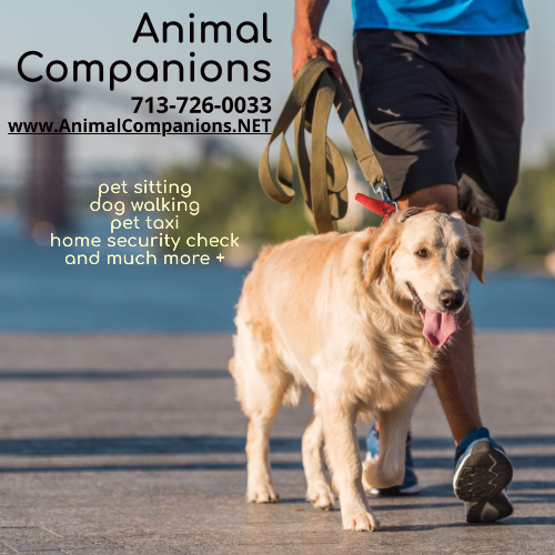 Animal Companions Pet Sitting