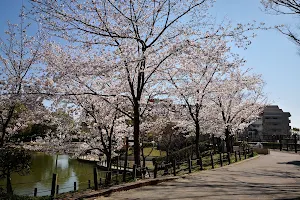 Hinoike Park image