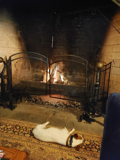 Vineyard «Harpersfield Vineyard», reviews and photos, 6387 OH-307, Geneva, OH 44041, USA