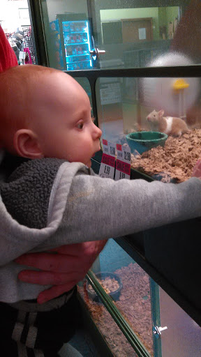 Pet Supply Store «Pet Supplies Plus», reviews and photos, 3100 Manchester Rd, Akron, OH 44319, USA