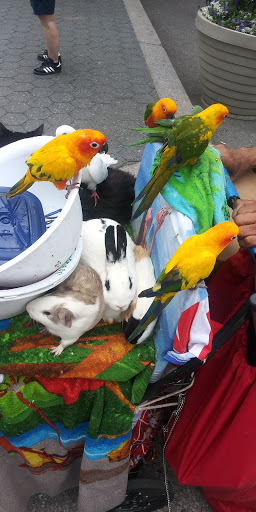 Pet Store «Pet City», reviews and photos, 108 E Burnside Ave, Bronx, NY 10453, USA