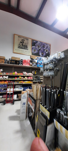 Supermarket «Best Value Supermarket», reviews and photos, 10748 Buckley Hall Rd, Mathews, VA 23109, USA