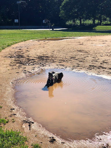 Park «ROGERS PARK», reviews and photos, 30 Rogers Park Ave, Boston, MA 02135, USA