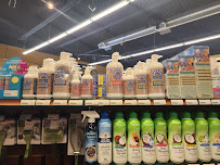 Northwest Pets Meridian - Photo 7 - Car repair in Meridian, ID, Boise